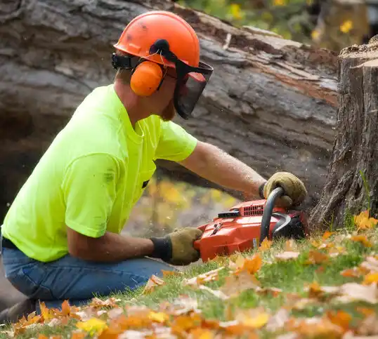 tree services Goldsboro